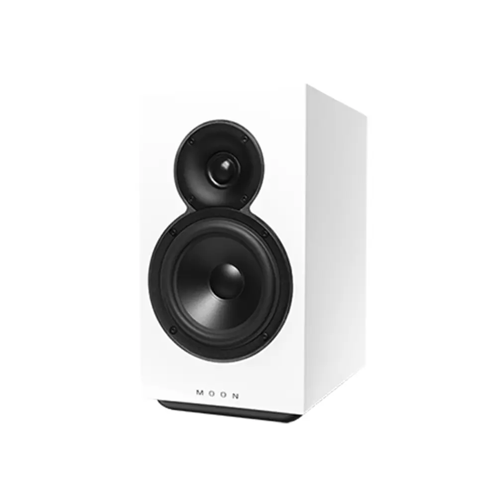 Voice 22 Loudspeakers