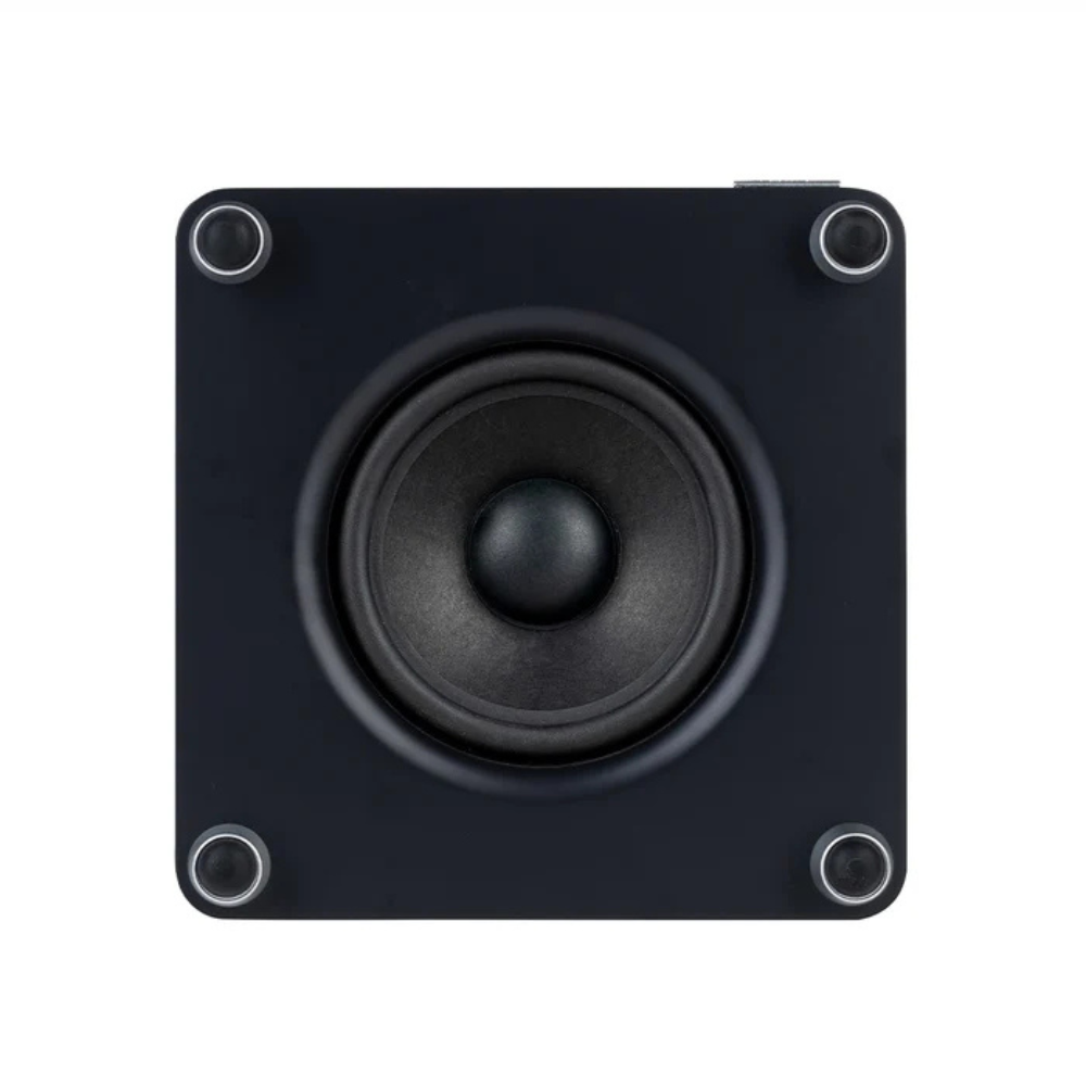 RS1 MK Subwoofer - Image 7