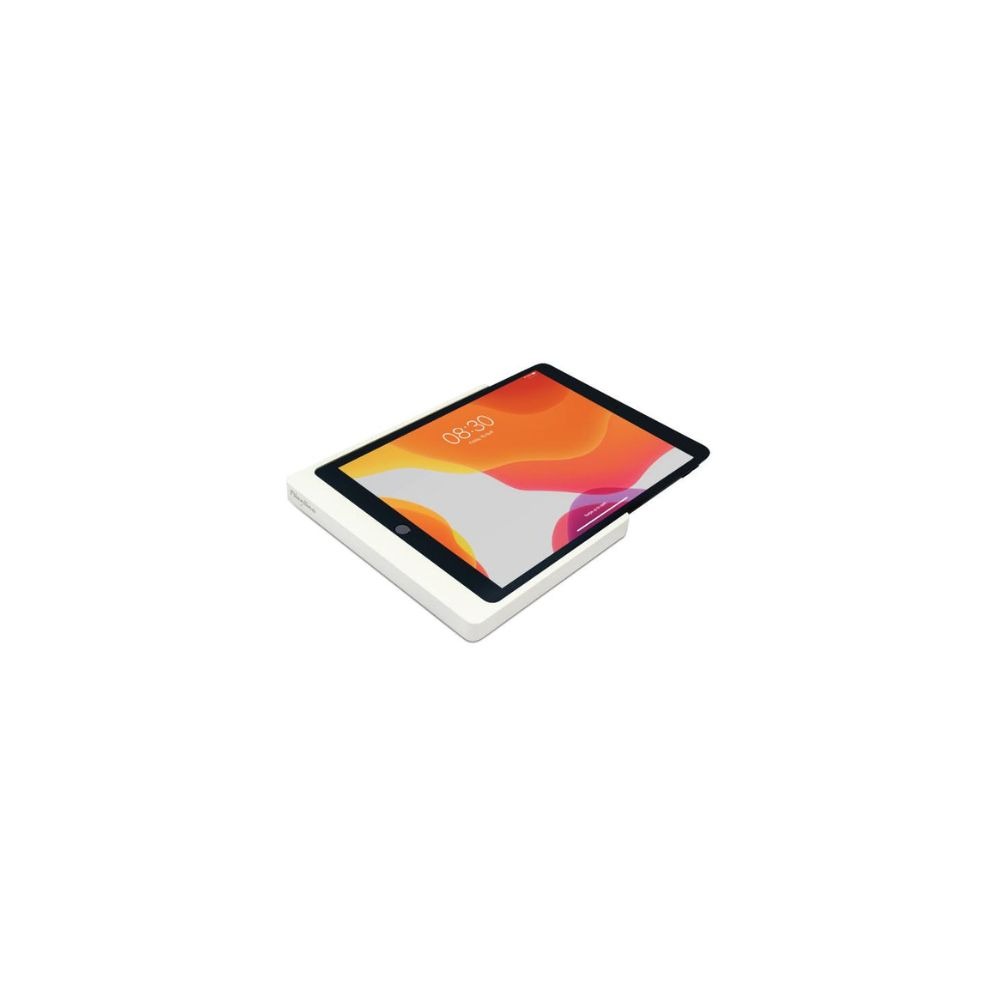 imgi_59_Companion-Wall-Home-for-iPad-10.2-6