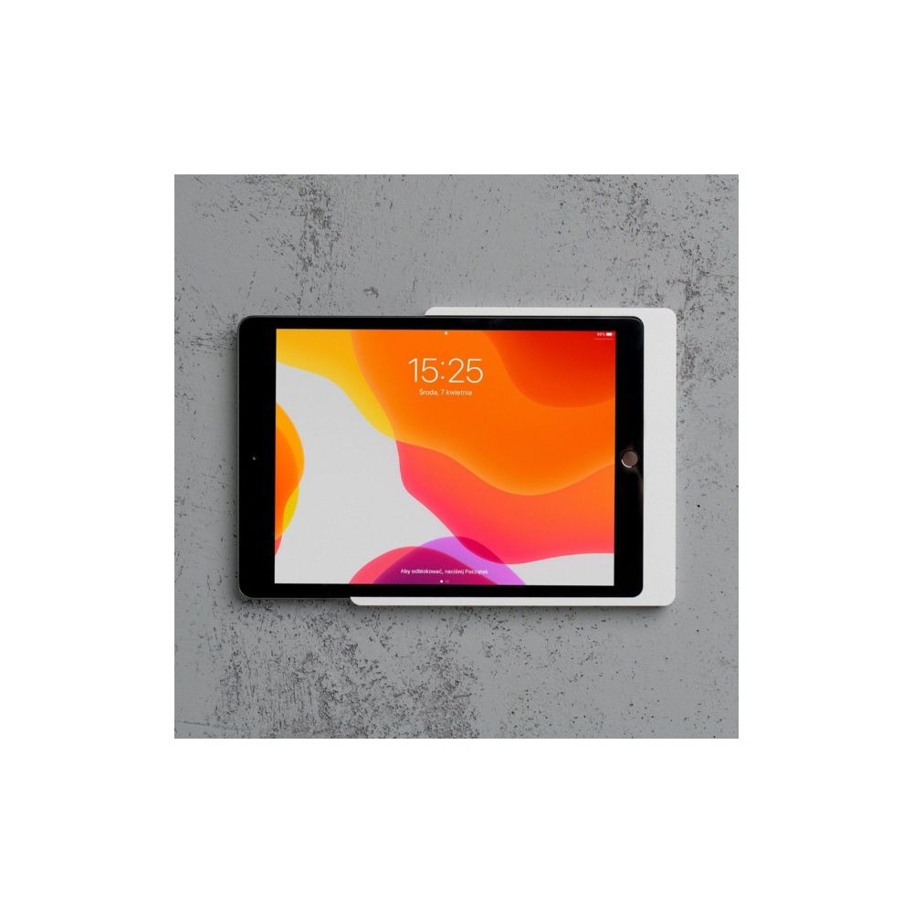 imgi_63_Companion-Wall-Home-for-iPad-10.2-2